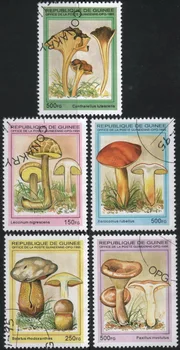  5 Kom./compl. Poštanske marke Gvineja 1995. godine, Gljive se Koriste Poštanske marke s oznakama za prikupljanje