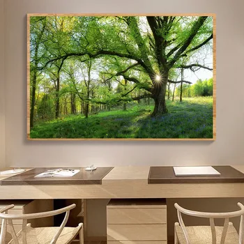  Prirodni Svježi Sunčeva Svjetlost Platnu Slikarstvo Plakat sa Zelenim Drvetom Šumski Krajolik Zidni Umjetničke Slike za uređenje doma